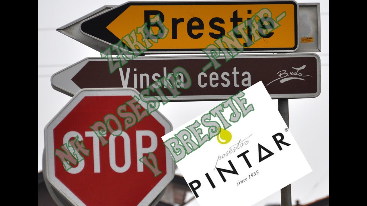 ZAKAJ NA POSESTVO  PINTAR v Brestje