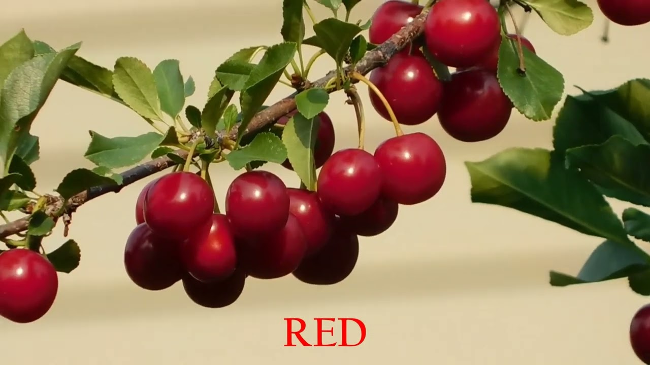 5 Colour Frequencies Meditation