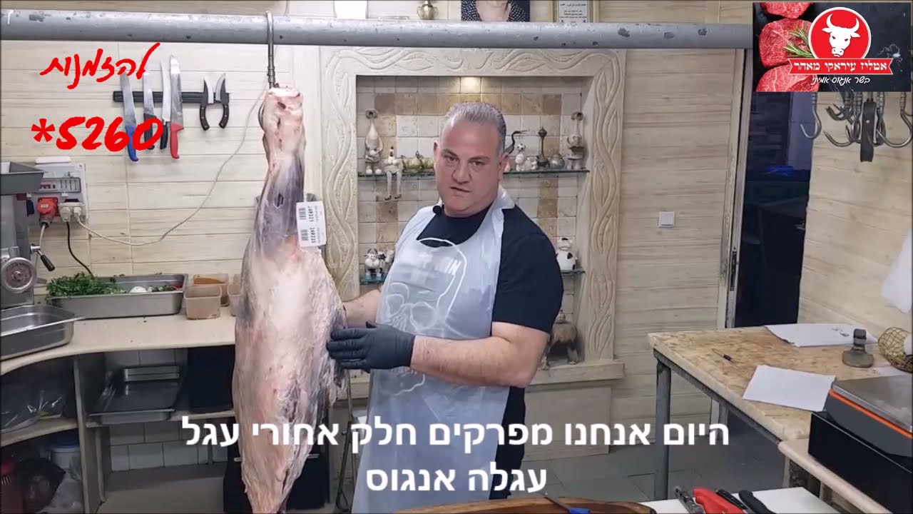 פירוק חלק אחורי + פיקניה - עגלת בלאק אנגוס -גידול מקומי רמת הגולן -
