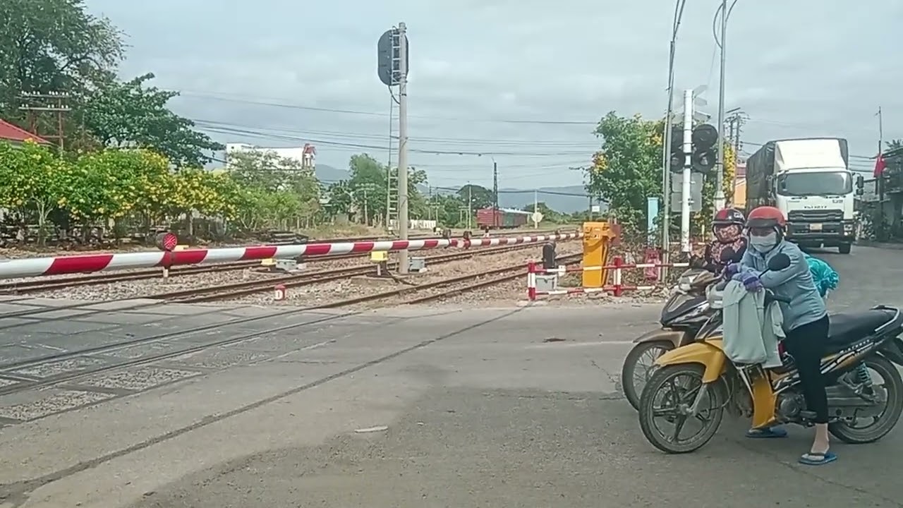 Ga sông mao 18
