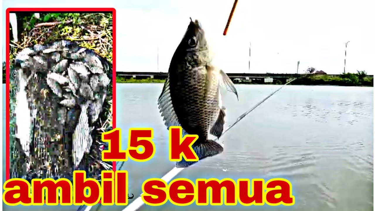 Mancing marunda terbaru,sungai tirem //15 K  angkut semua