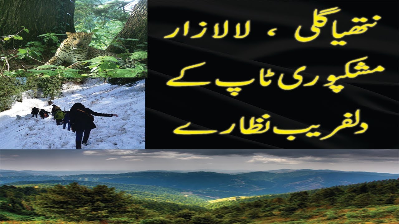 Nathia Gali | Lalazar Track | Mushkpuri Top | Winter Hiking | Travel Vlog