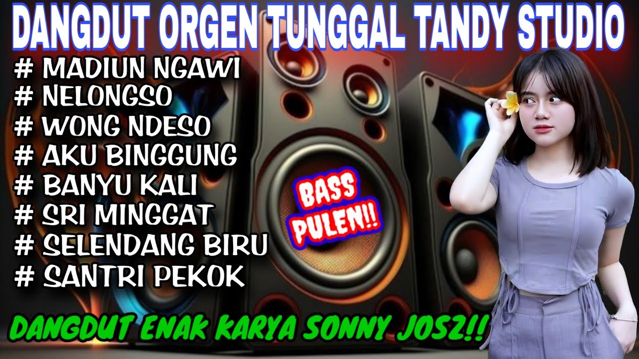 ORGEN TUNGGAL DANGDUT NINO MUSIK❗LAGU SONNY JOSZ PALING ENAK❗MADIUN NGAWI, SRI MINGGAT, NELONGSO