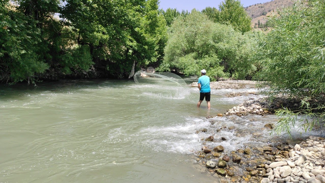 balık avı 2022