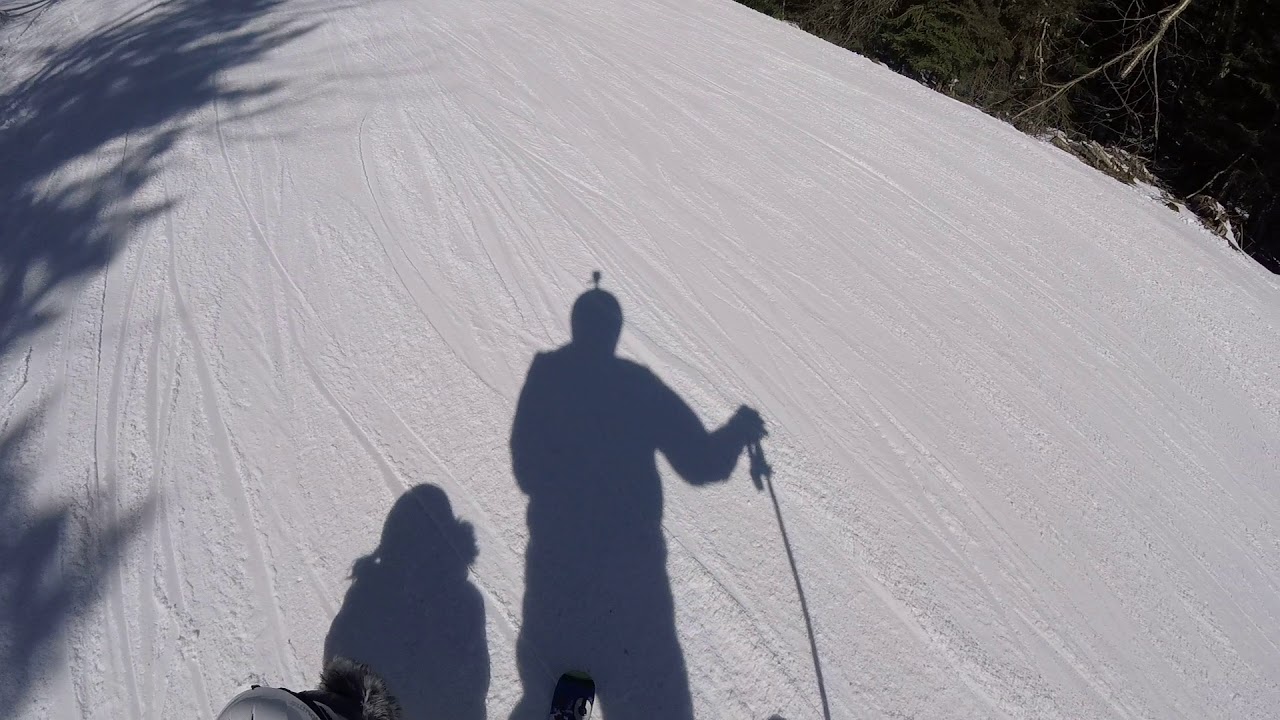 Snowshoe Mountain - Spruce