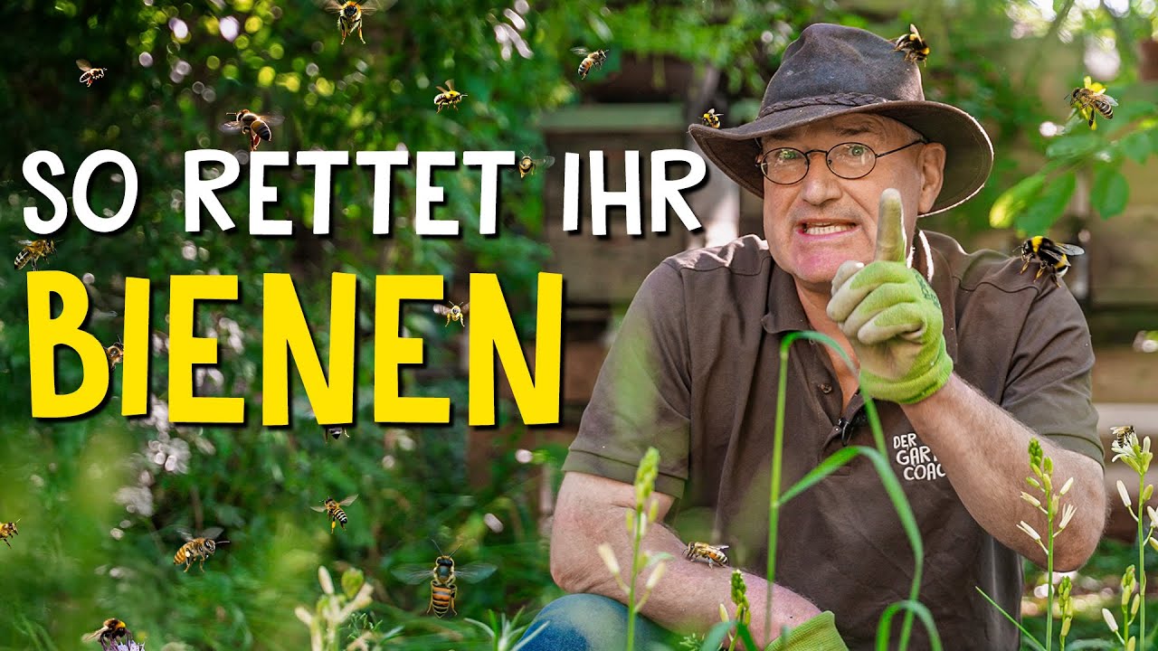 Bienenfreundlichen Garten anlegen 🐝 - Wildbienen schützen leicht gemacht