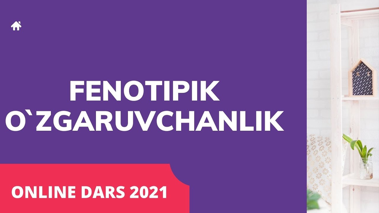 . Fenotipik o`zgaruvchanlik./ BIOLOGIYA / GENETIKA / ONLINE MAKTAB