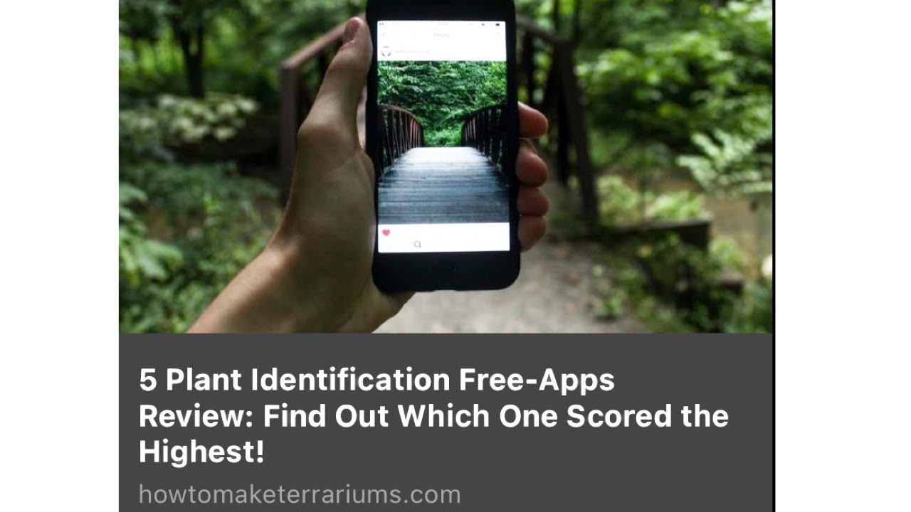 5 Free Plant IDs You Can Use&mdash; and Find Out Which One Scored The Highest
