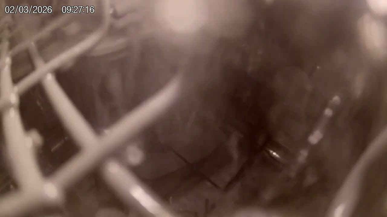 dishwasher vid