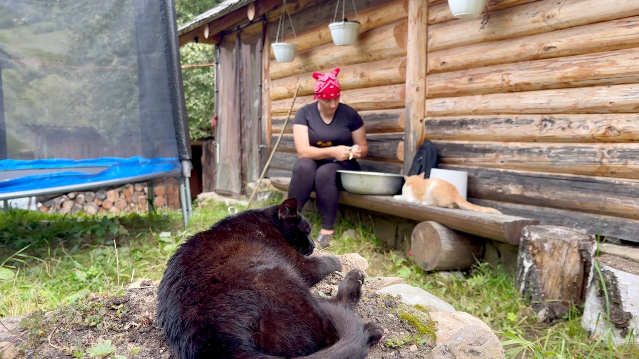 Carpathian Village Life | A Forest Walk, Pear Jam & Potatoes with Mushrooms