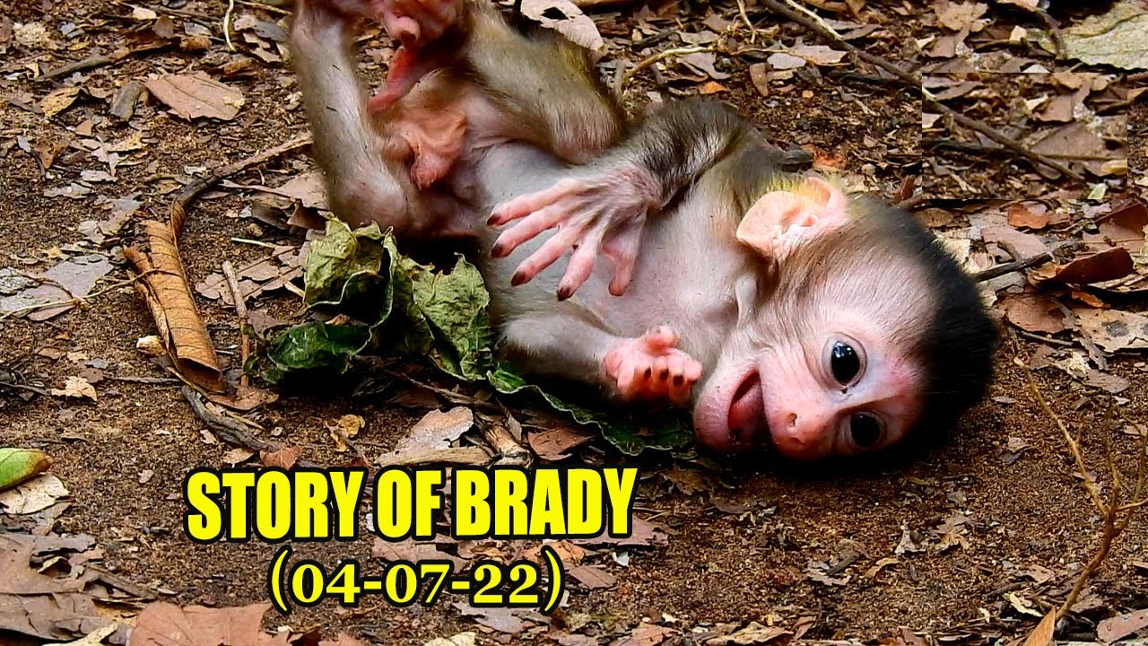 STORY OF NEWBORN BRADY, THE SON OF ABANDONED MOM LIBBY.