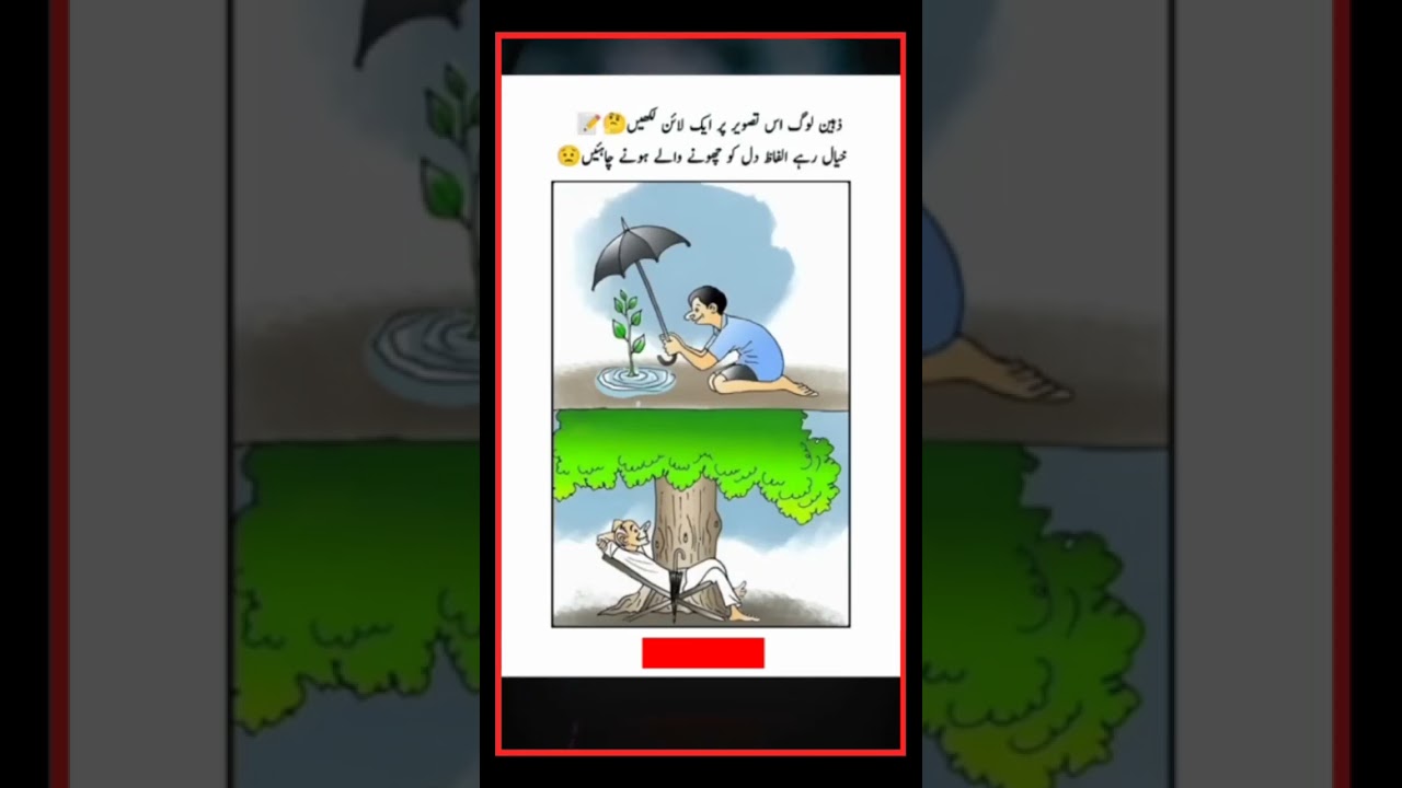 ذہین لوگ غور کریں #photography #shortvideo #funny #funnylateefay #funnyvideo