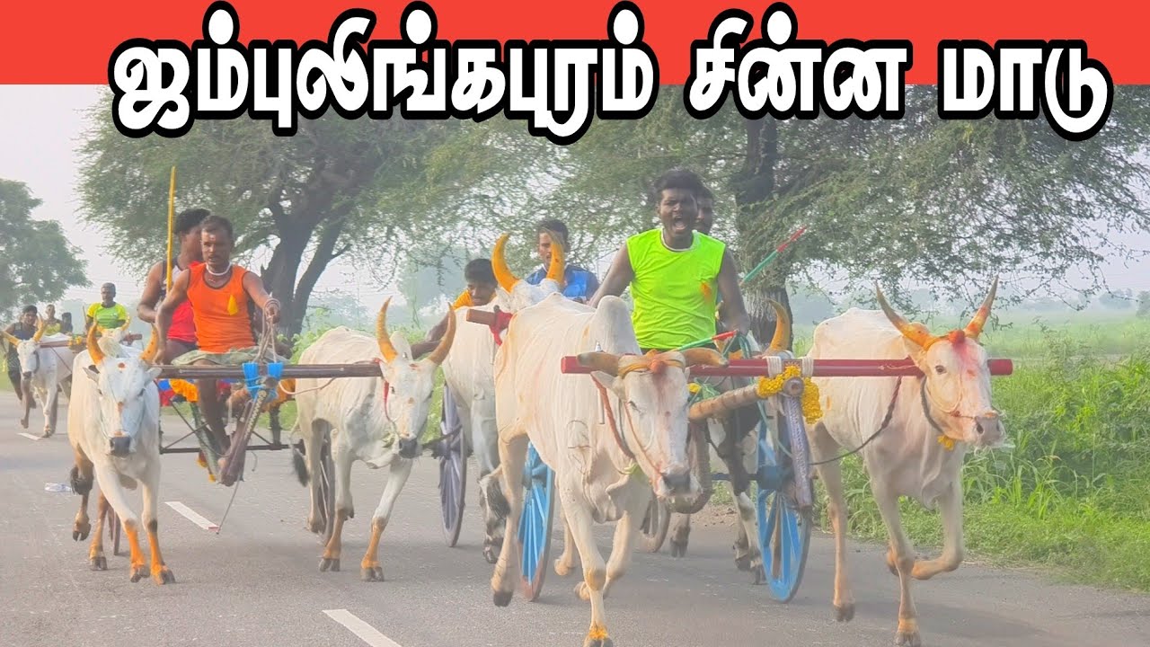 ஜம்புலிங்கபுரம் கிராம பொதுமக்களால் நடத்தப்பட்ட பந்தயம்