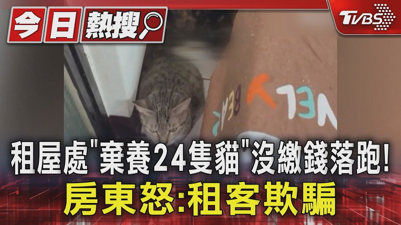 租屋處「棄養24隻貓」沒繳錢就落跑!房東怒:租客欺騙｜TVBS新聞 @TVBSNEWS01