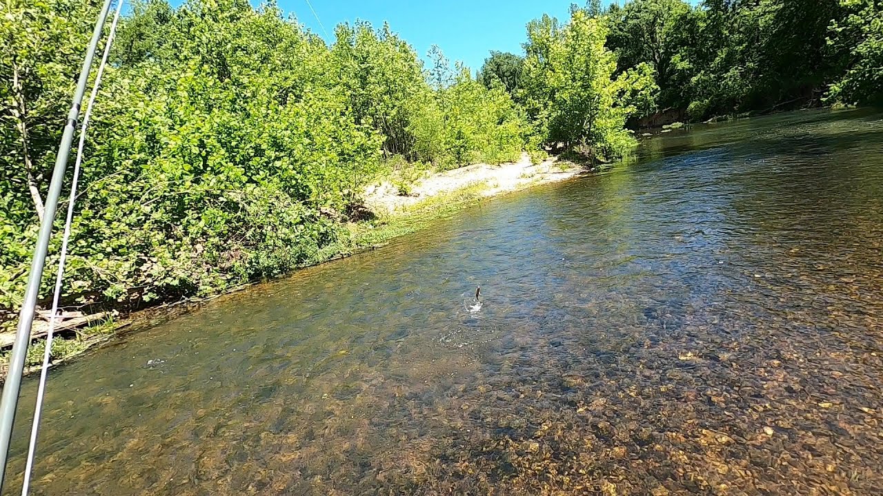 Catching Wild Trout on a Beautiful May Day