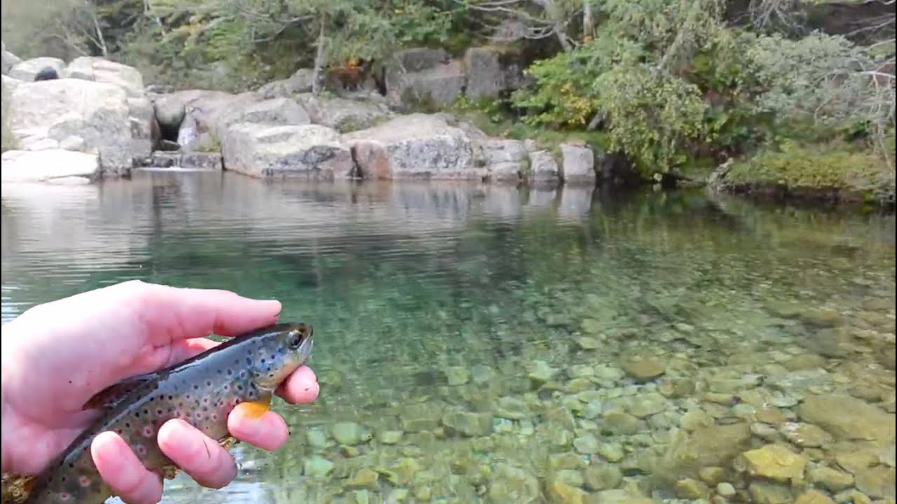 RANDO P&Ecirc;CHE au Mont Loz&egrave;re - Ambiance/No talking