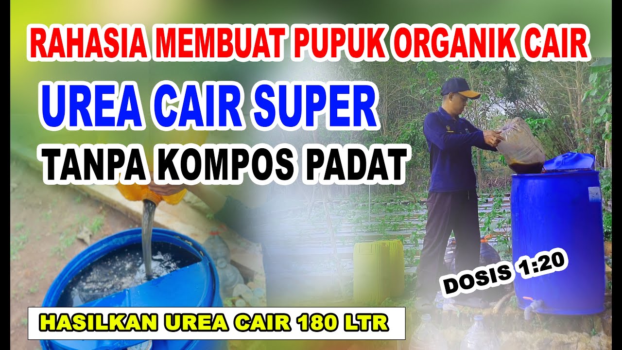 Resep Rahasia, PUPUK UREA CAIR  SUPER Metode bsm  TANPA KOMPOS PADAT 