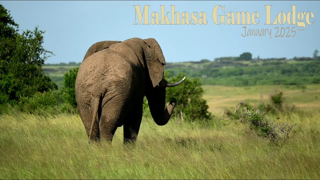 Makhasa Game Lodge