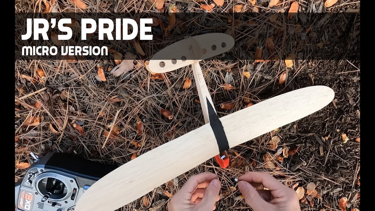 JRs Pride Micro RC 2ch Conversion Glider