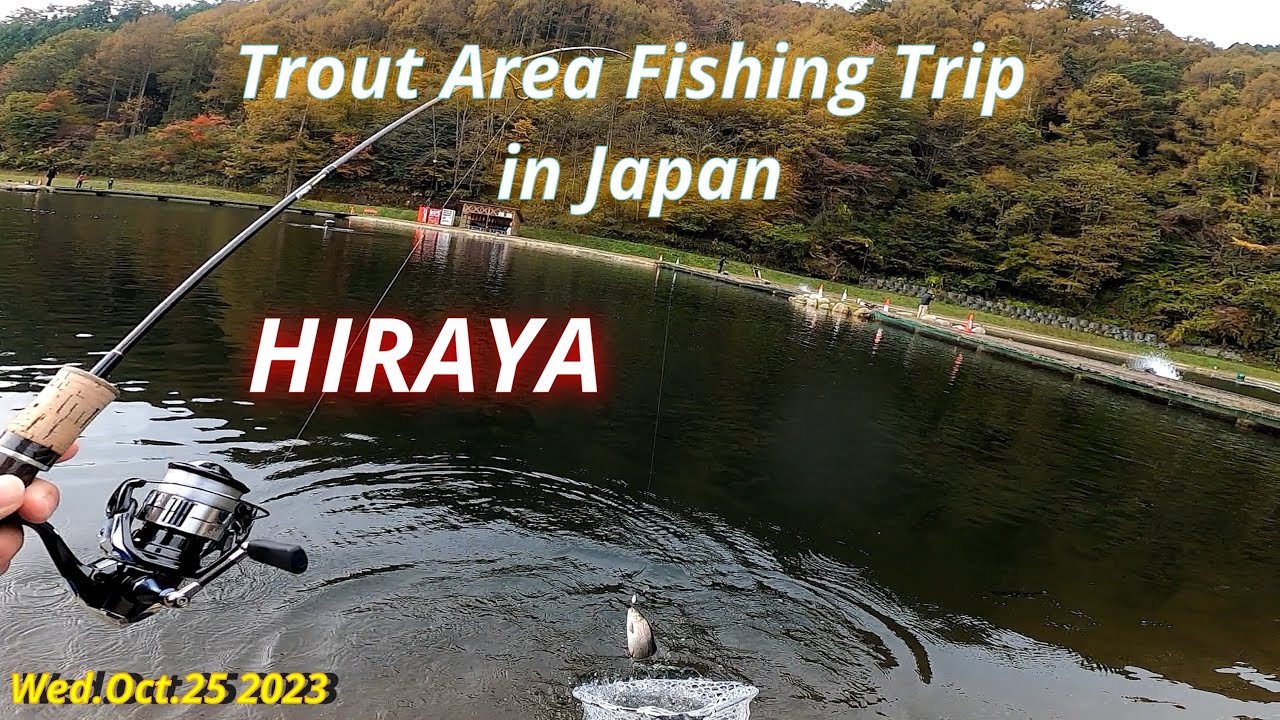 HIRAYA Oct.25 2023 / Trout Area Fishing Trip in Japan