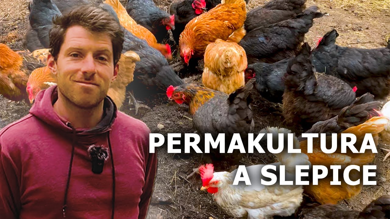 Navštívil jsem Amerického Farmáře v Praze - Farmaření ve Městě