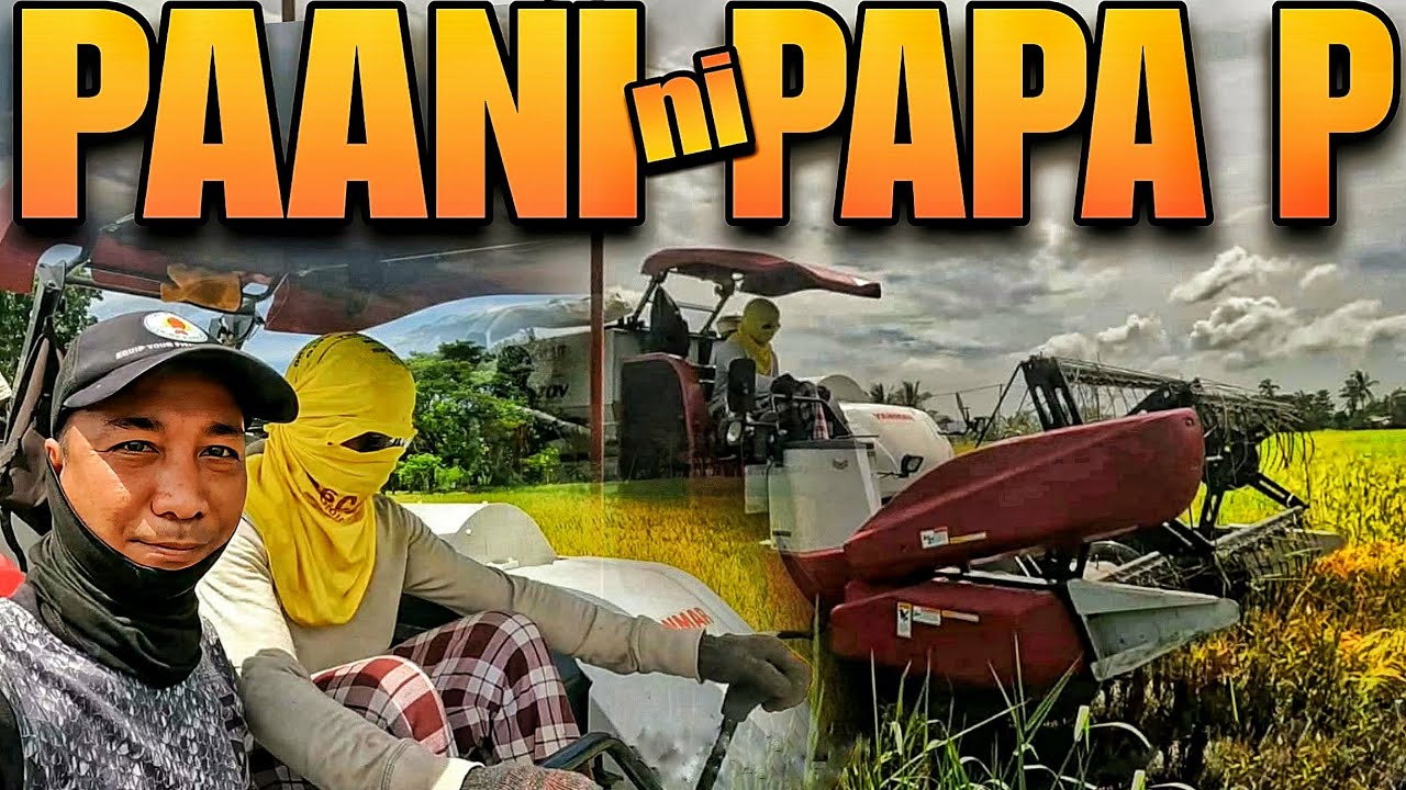 Paani ng Tanim na Palay ni Pongloy - EP2032