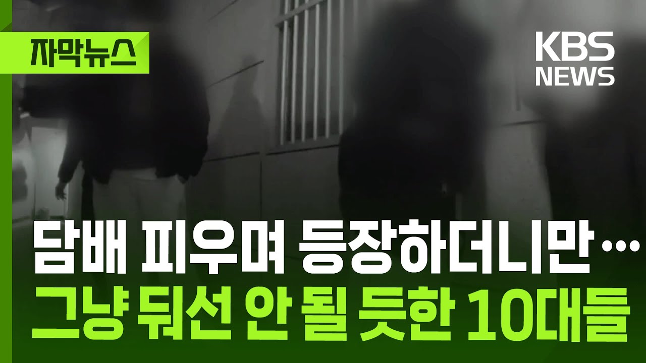 [자막뉴스] 담배 피우며 등장하더니만…그냥 둬선 안 될 듯한 10대들 / KBS 2026.01.17.
