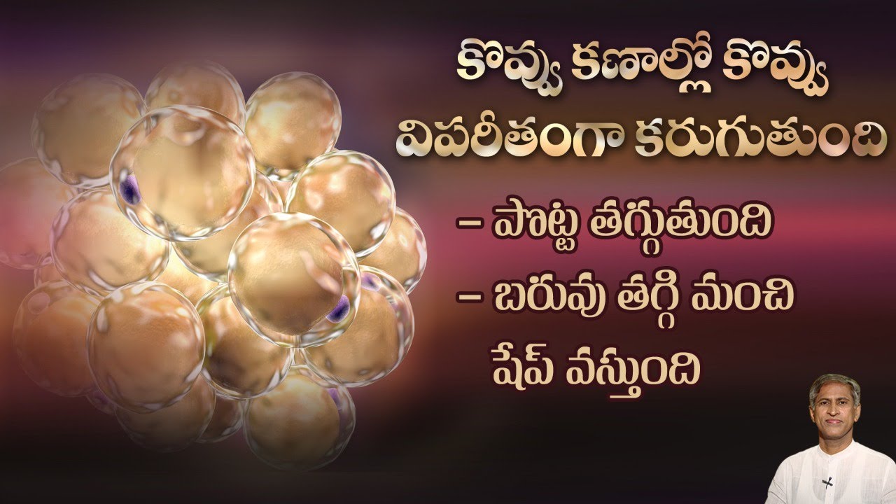 How to Burn Big Fat Cells | Weight Loss Easily | Get Slim and Thin Shape | Dr.Manthena's Health Tips