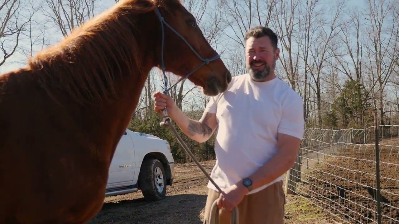 Cash's Crew Rescue: Heart of Horses