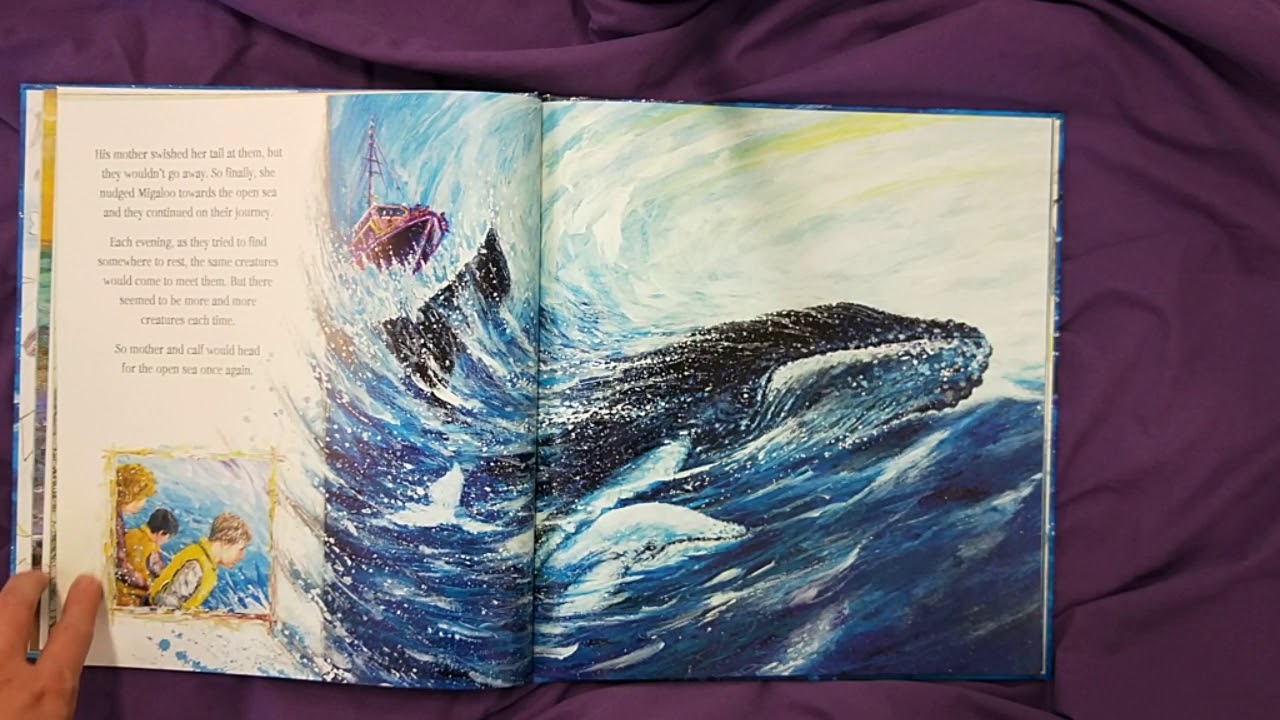 Migaloo The White Whale