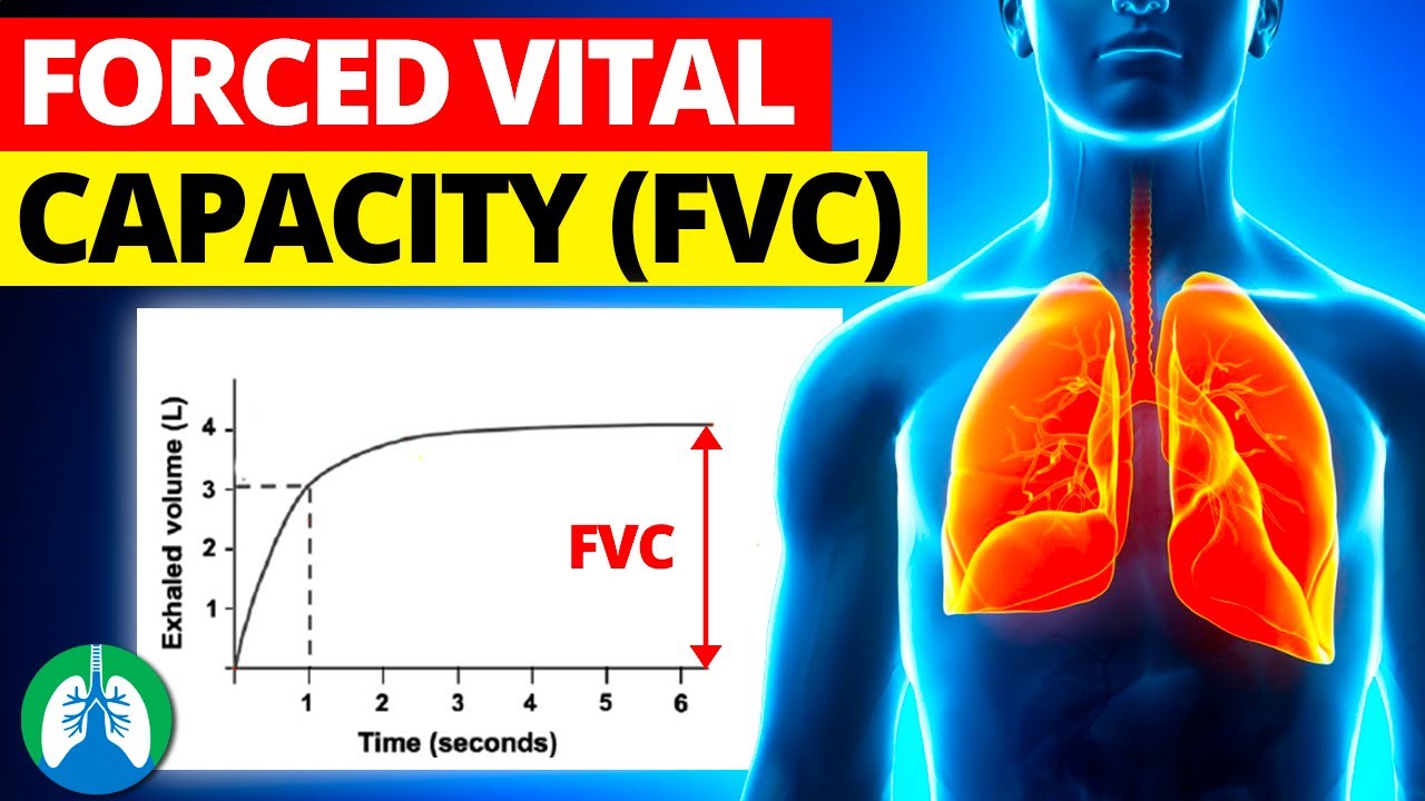 What is Forced Vital Capacity (FVC)?