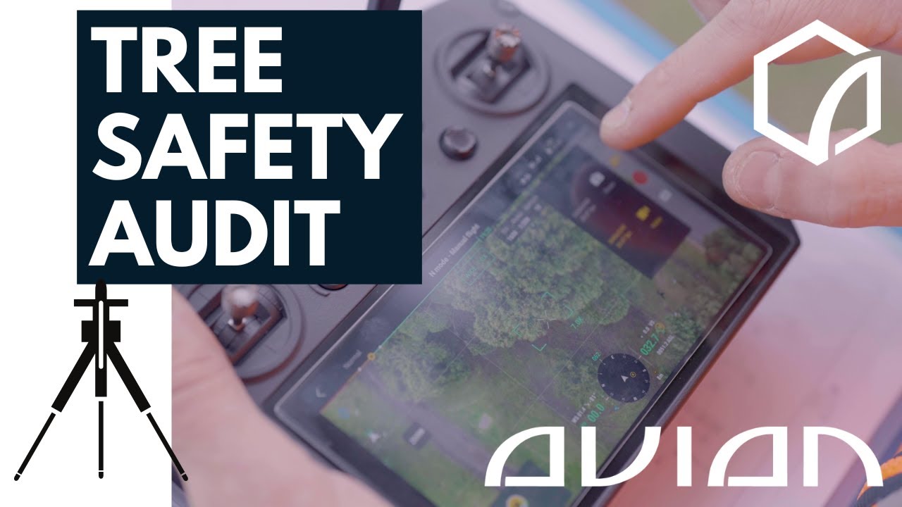 Tree Safety Audit Report using 3D Laser Scanning and Aerial Surveying Technology