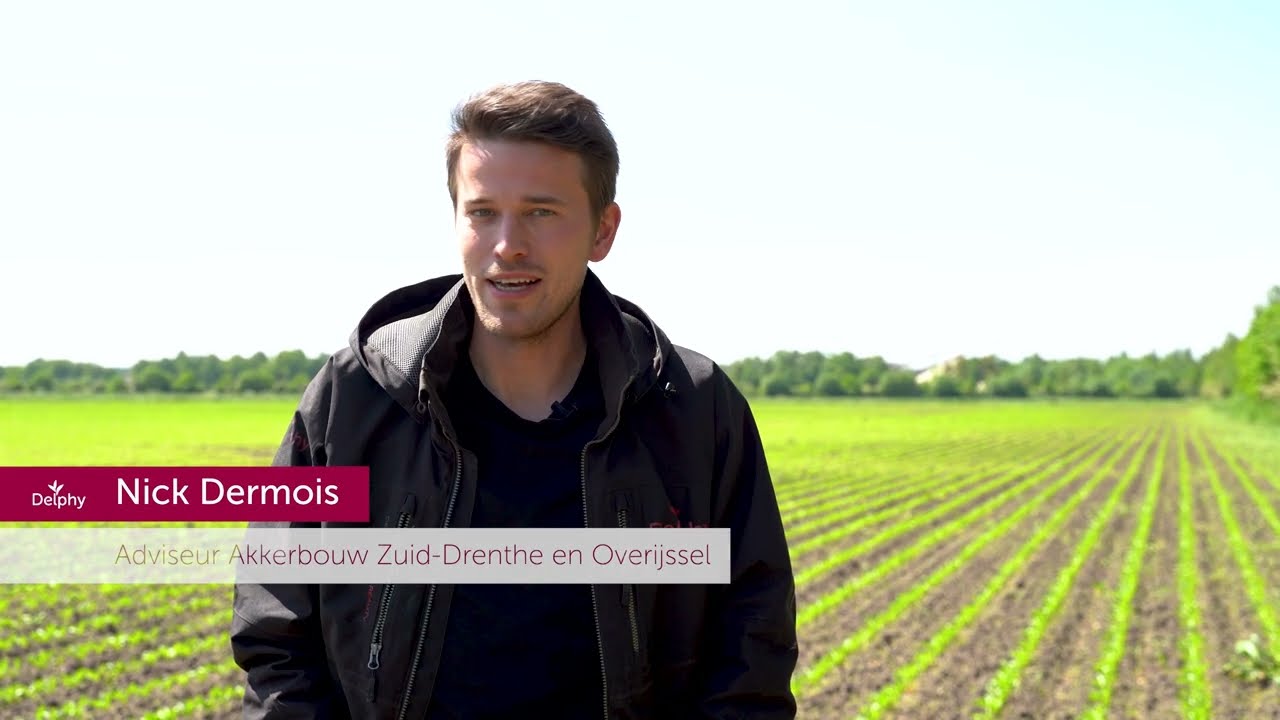 Werken Bij Delphy als adviseur Akkerbouw