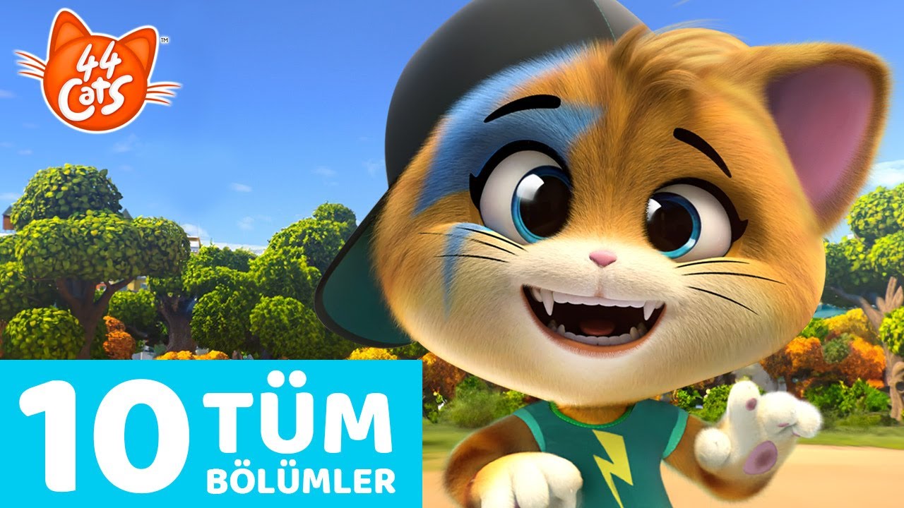 44 Kedi | 10 Bölümün  tamamı 🐈🐾 | Kedikulade 1. Sezondan Derleme