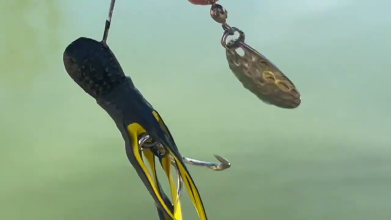 Farm Pond Fishing 