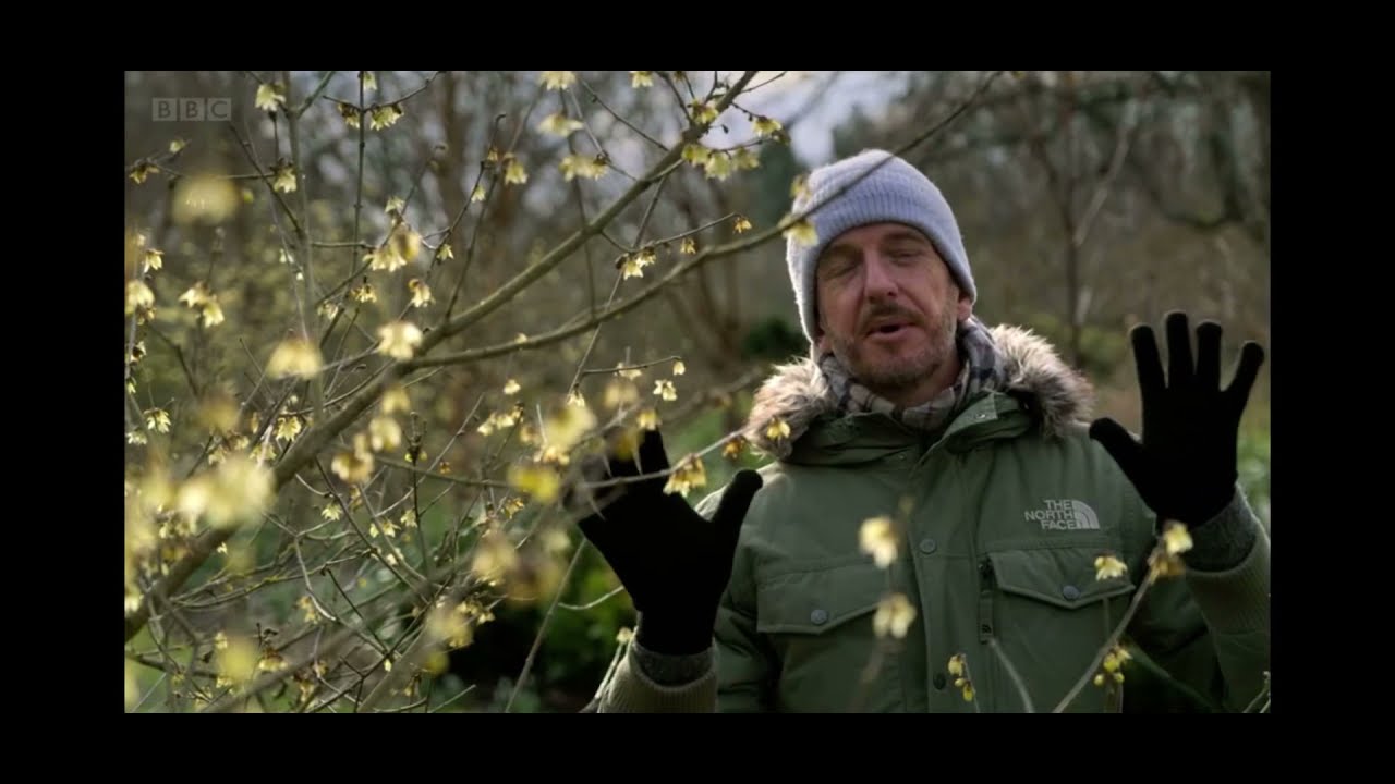 Gardeners World Winter Special 2021/22 Episode 2 #gardenersworld #originalgardening