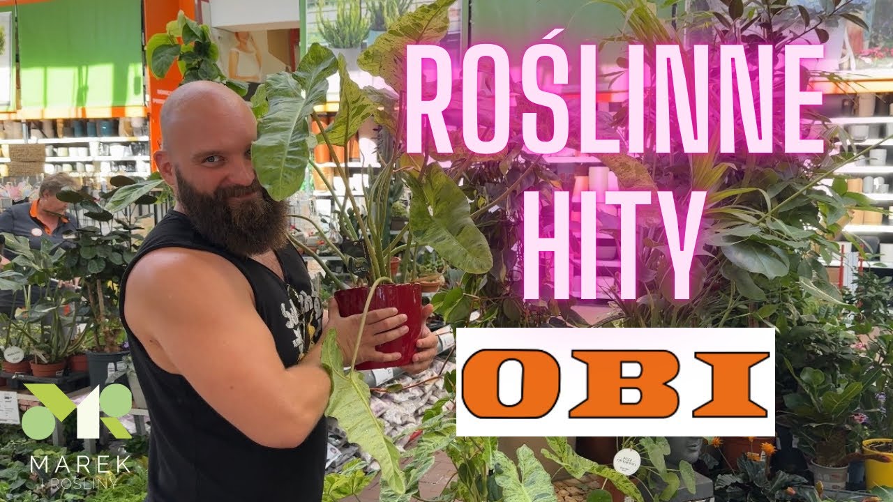Co nowego w OBI? Zapraszam na poszukiwania roślinnych hitów!