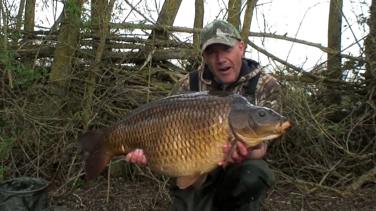 41lb Common Carp for Iain Macmillan
