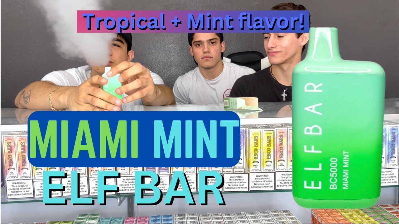 Miami Mint Elf bar Review