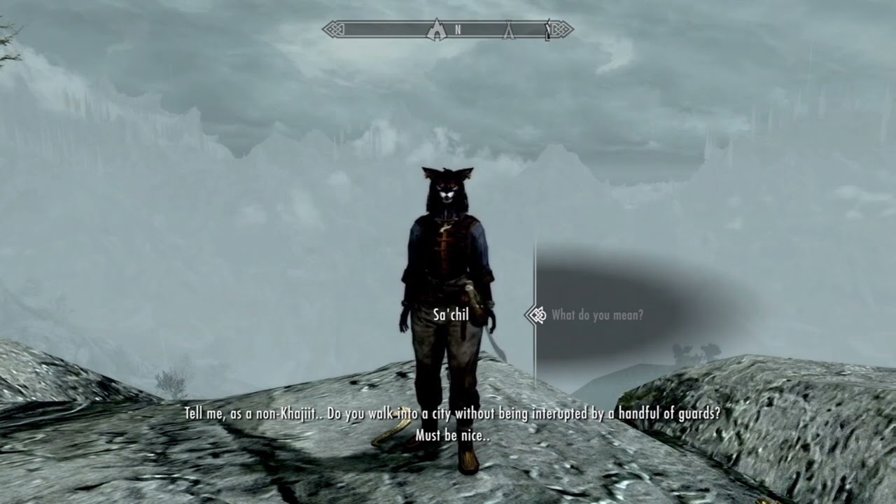 Sa'chil The Dagi-Raht Khajiit Spellsword | Skyrim: Anniversary Edition