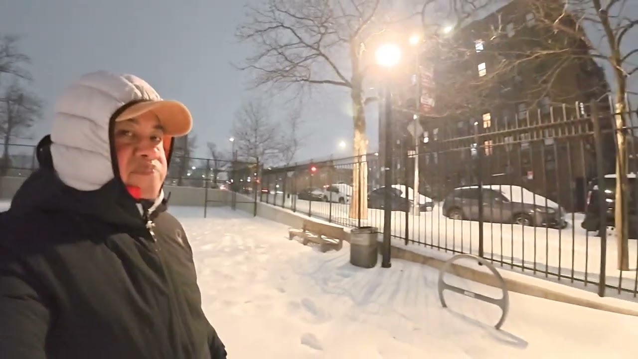 Tormenta de Nieve en Nueva York 
