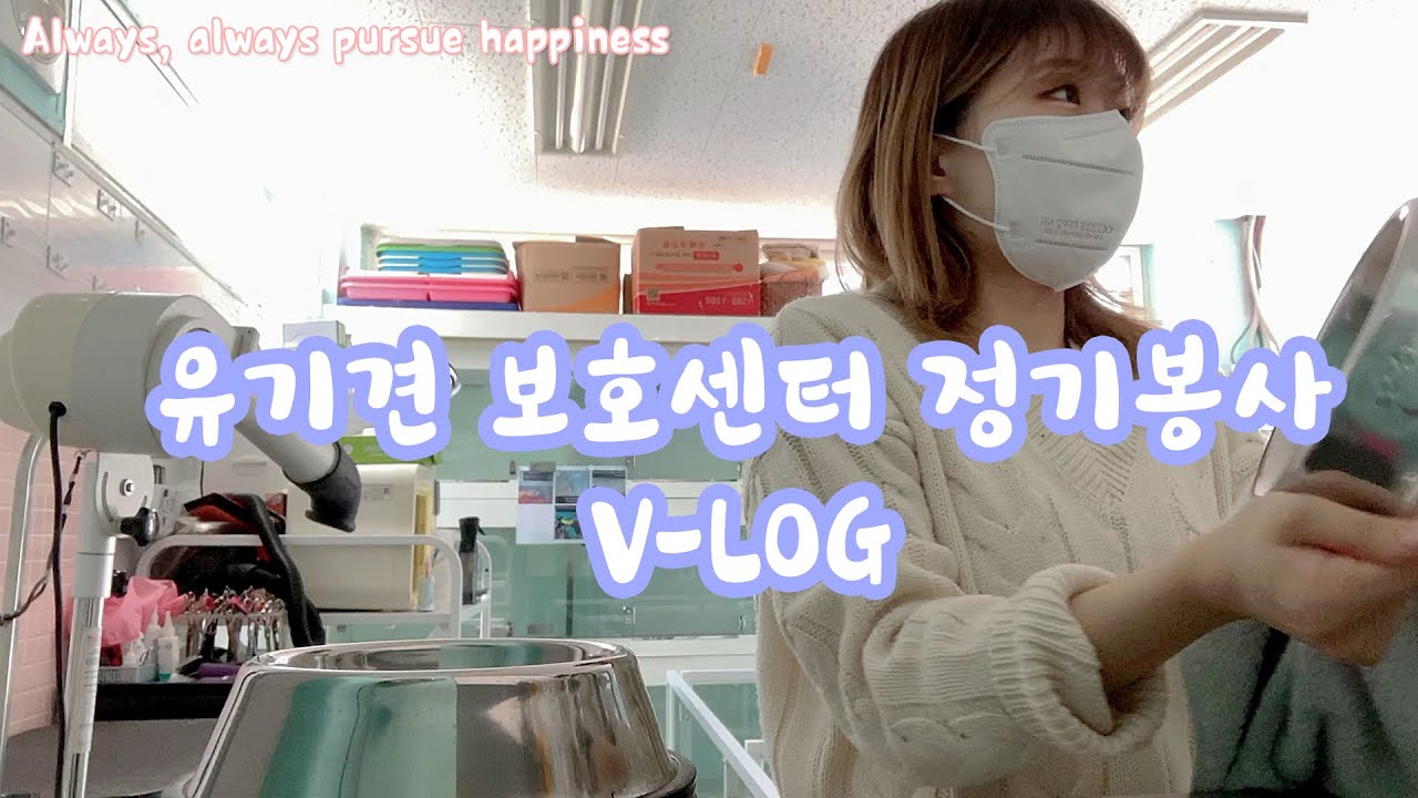 봉사 Vlog | 유기견보호센터 정기봉사 | 다시사랑받개 | 사지말고 입양하세요