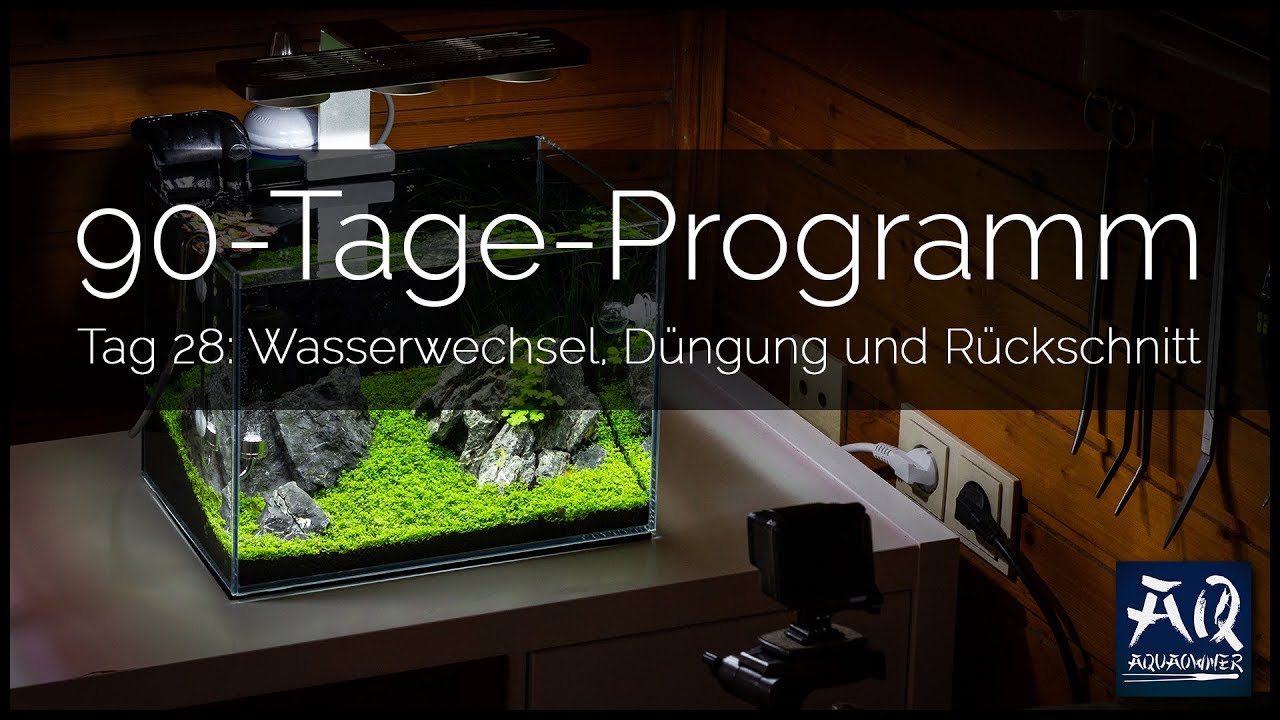 Tag 28 (Tropica 90-Tage-Programm): Wasserwechsel, D&uuml;ngung & R&uuml;ckschnitt | AquaOwner