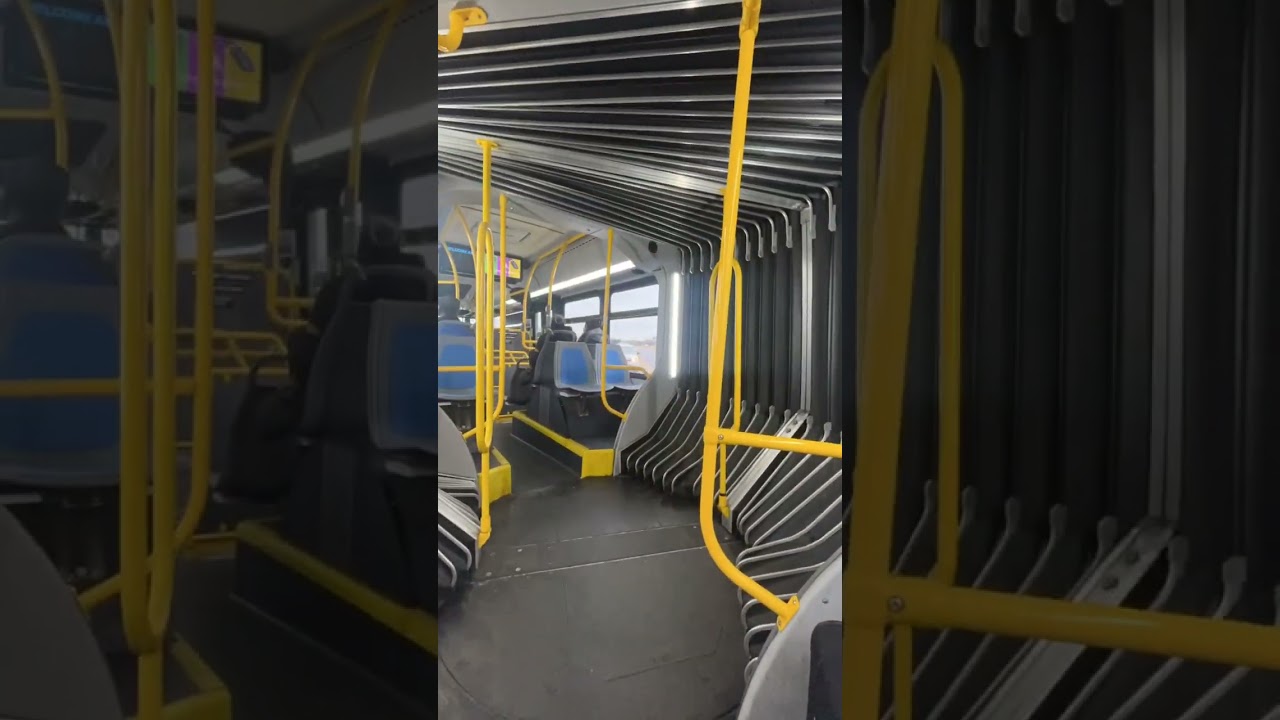 Articulated bus