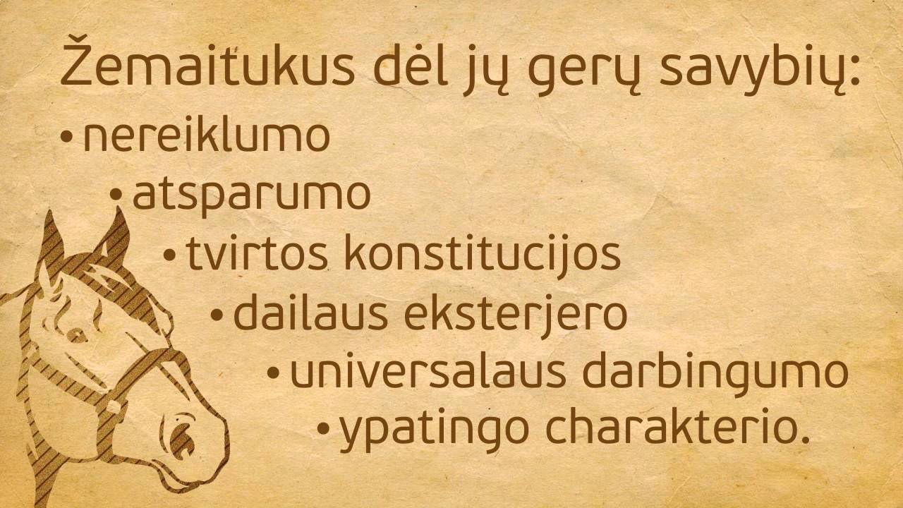 zemaitukas typografika 2222