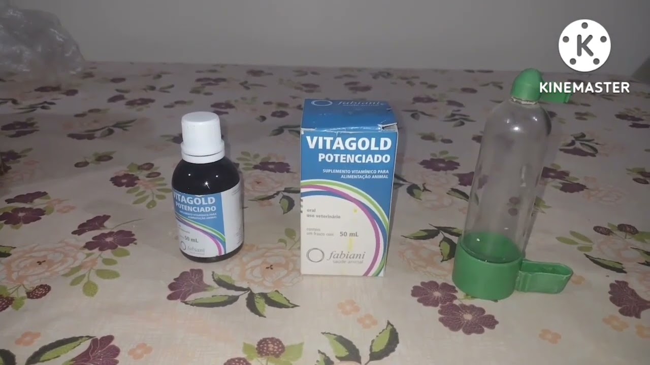Como fornecer vitagold potenciado para os canários belgas.