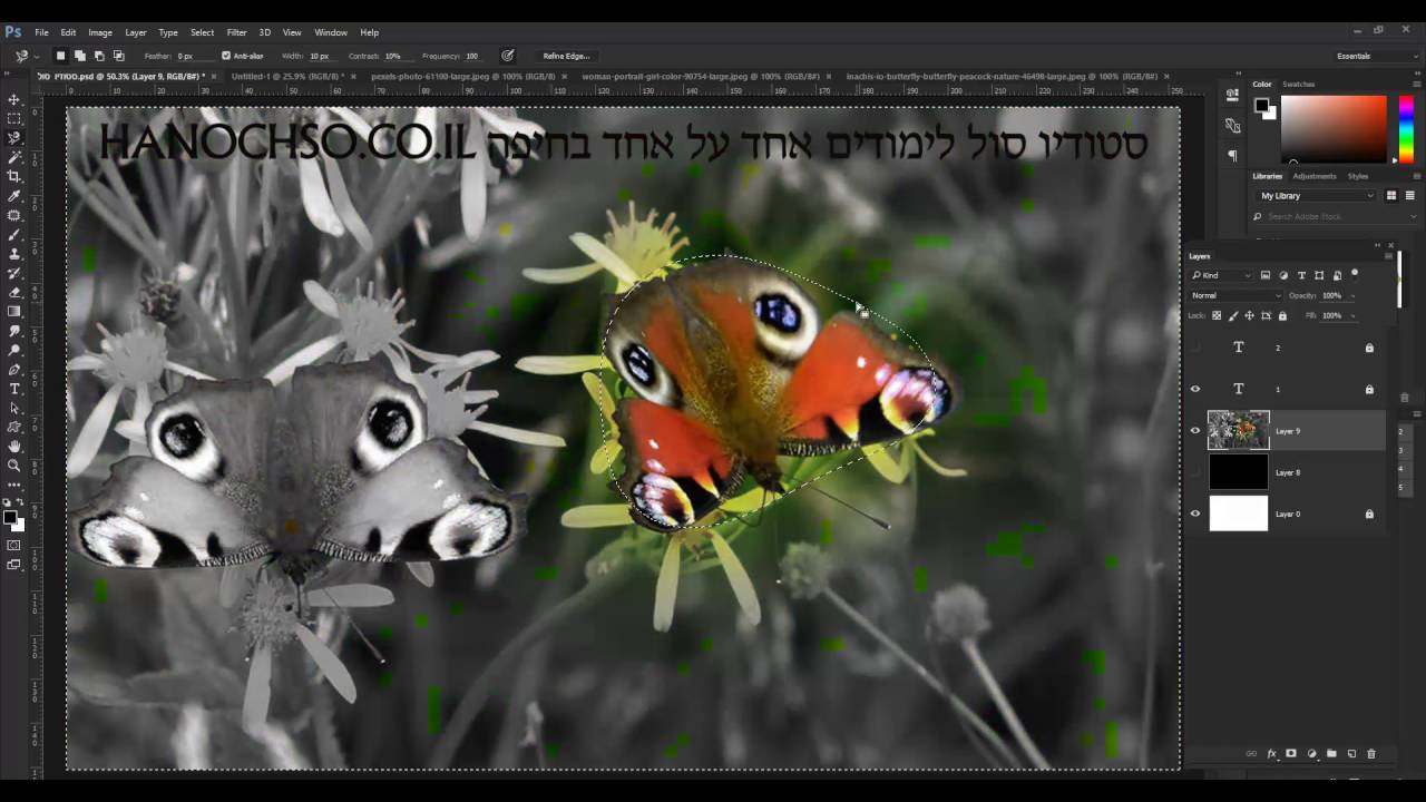 איך להפוך חלק מהתמונה שחור לבן בתוכנת הפוטושופ מדריך לימוד חינם