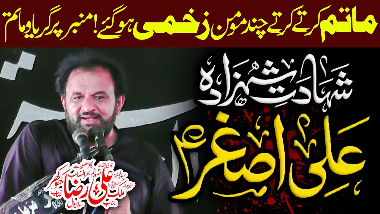 Shahadat Shahzada Ali Asghar as By Zakir Ali Raza Khokhar | Yadgar Pursa