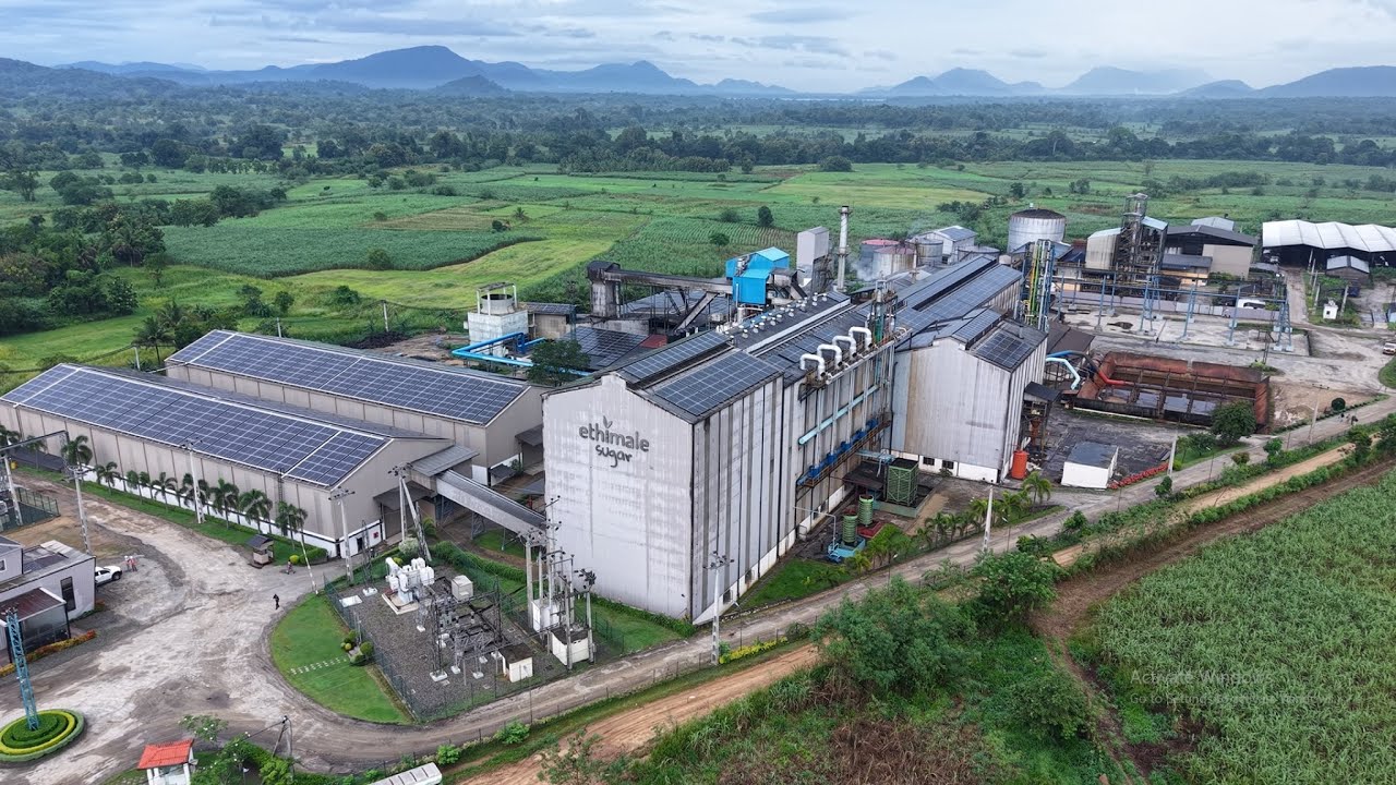 Powering Progress | SolarRay’s 3.08MWp Solar PV Solution for Ethimale Plantation (Pvt) Ltd