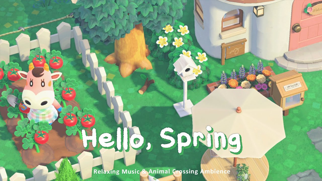 Hello, Spring 🌱 Positive Acoustic Music | Study & Reading Music | Animal Crossing Ambience